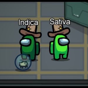 Meet your Posher, Cierra